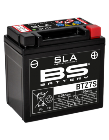 Batería BS Battery SLA...